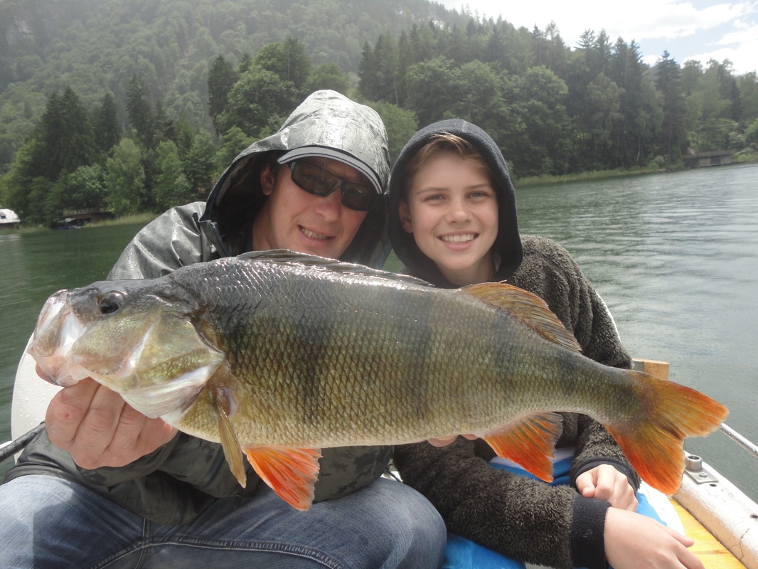 guided day fishing in Austria